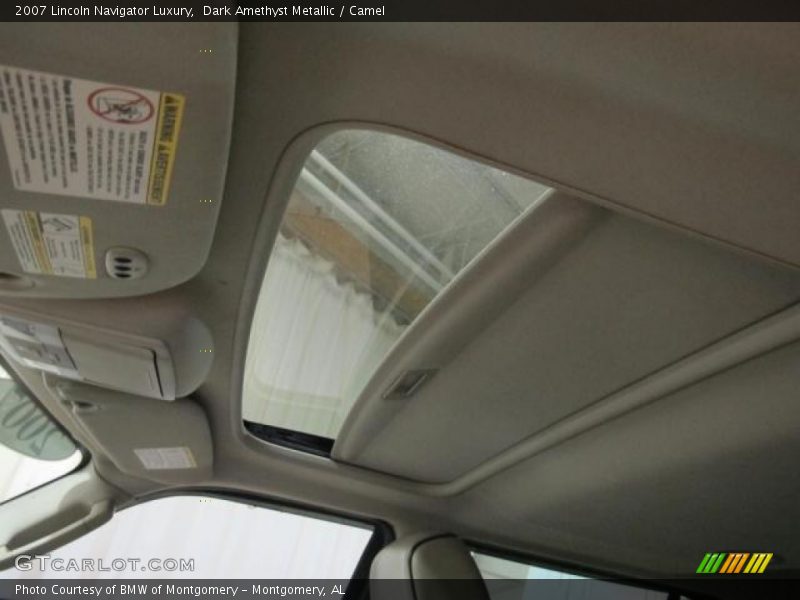 Dark Amethyst Metallic / Camel 2007 Lincoln Navigator Luxury