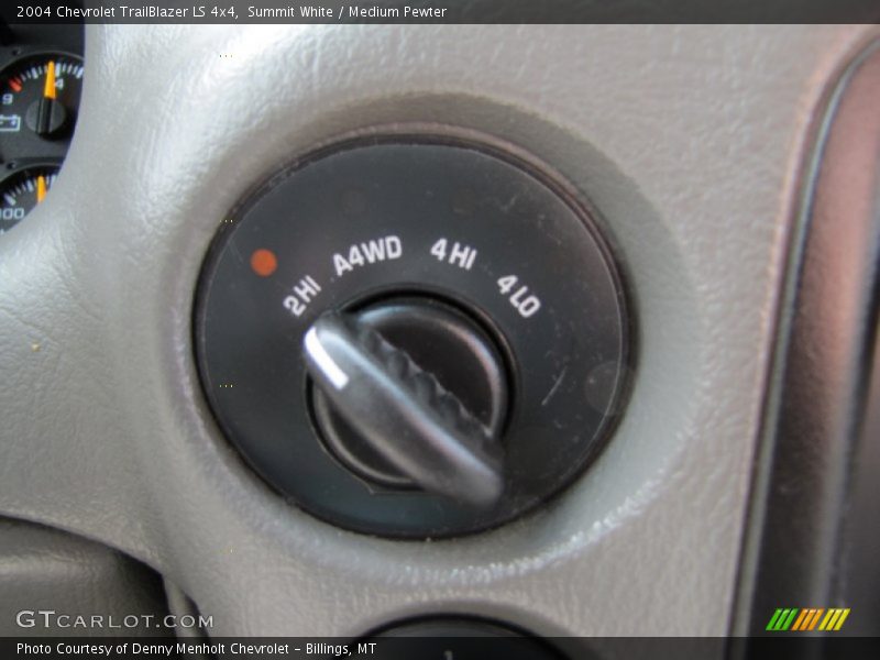 Summit White / Medium Pewter 2004 Chevrolet TrailBlazer LS 4x4