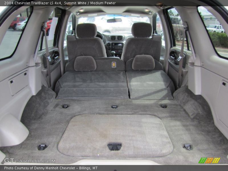 Summit White / Medium Pewter 2004 Chevrolet TrailBlazer LS 4x4