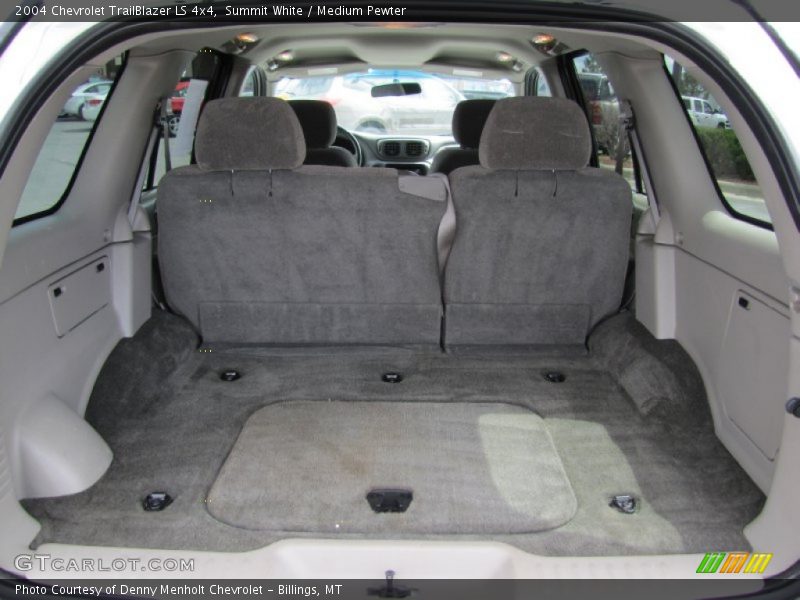 Summit White / Medium Pewter 2004 Chevrolet TrailBlazer LS 4x4