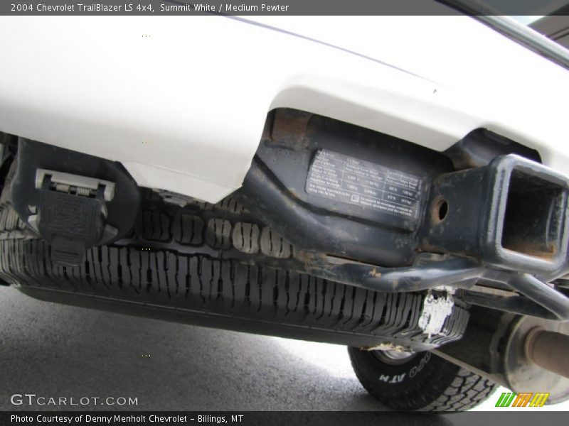 Summit White / Medium Pewter 2004 Chevrolet TrailBlazer LS 4x4