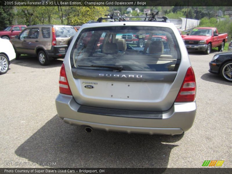 Champagne Gold Opalescent / Beige 2005 Subaru Forester 2.5 XS L.L.Bean Edition