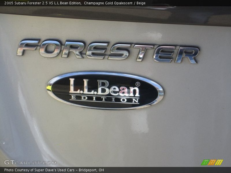Champagne Gold Opalescent / Beige 2005 Subaru Forester 2.5 XS L.L.Bean Edition