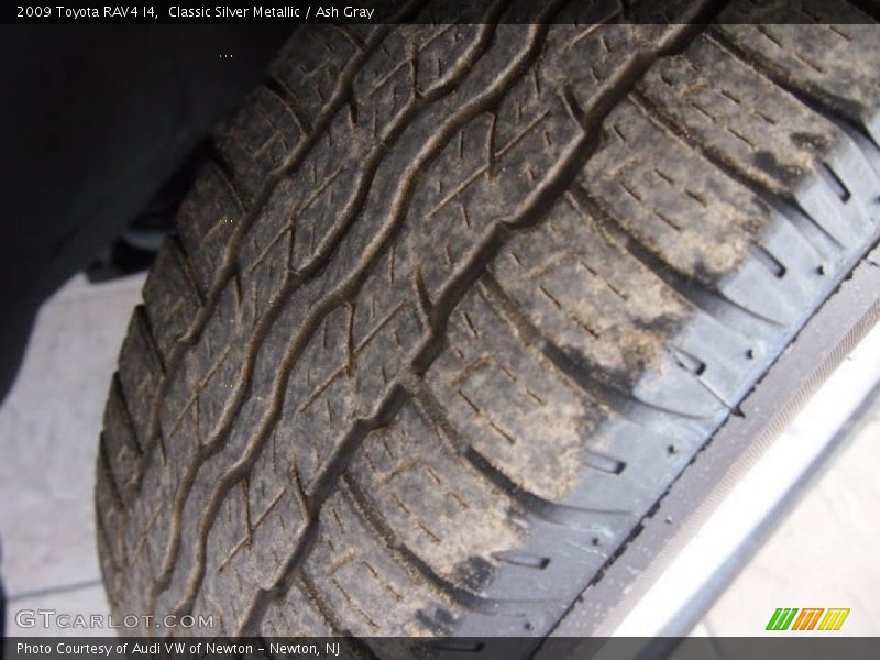 Classic Silver Metallic / Ash Gray 2009 Toyota RAV4 I4