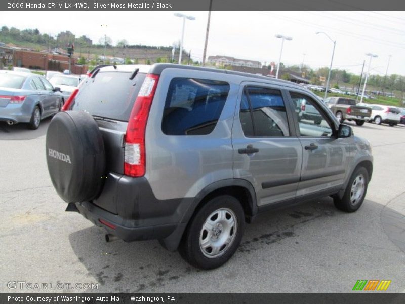 Silver Moss Metallic / Black 2006 Honda CR-V LX 4WD
