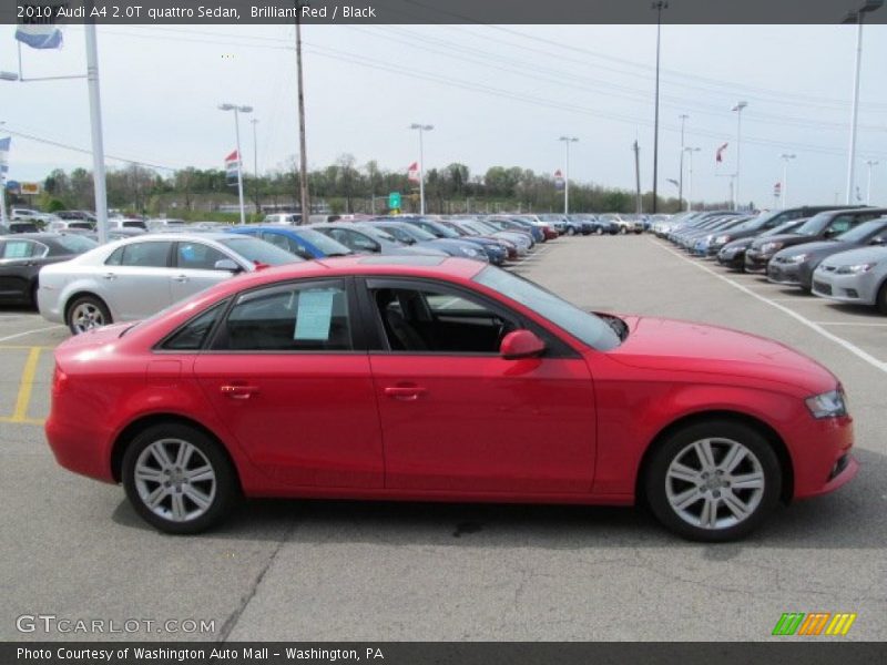 Brilliant Red / Black 2010 Audi A4 2.0T quattro Sedan