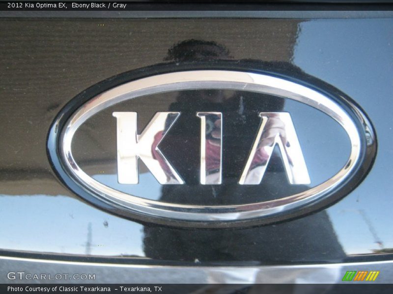 Ebony Black / Gray 2012 Kia Optima EX