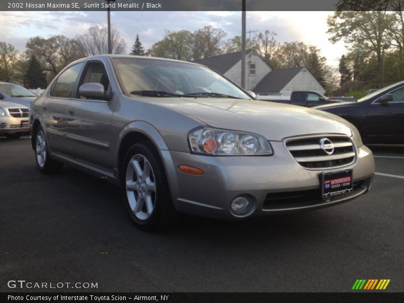 Sunlit Sand Metallic / Black 2002 Nissan Maxima SE