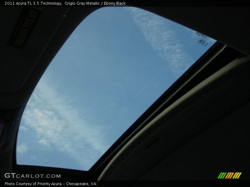 Grigio Gray Metallic / Ebony Black 2011 Acura TL 3.5 Technology