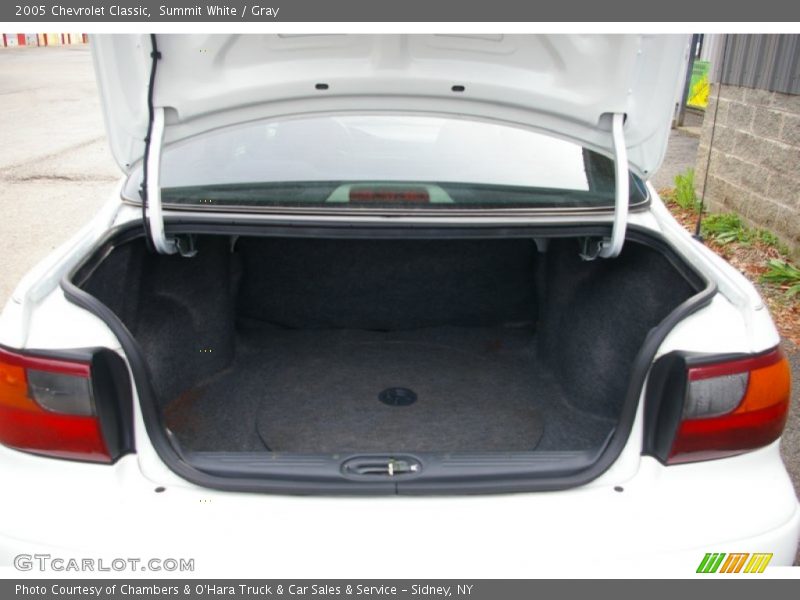 Summit White / Gray 2005 Chevrolet Classic