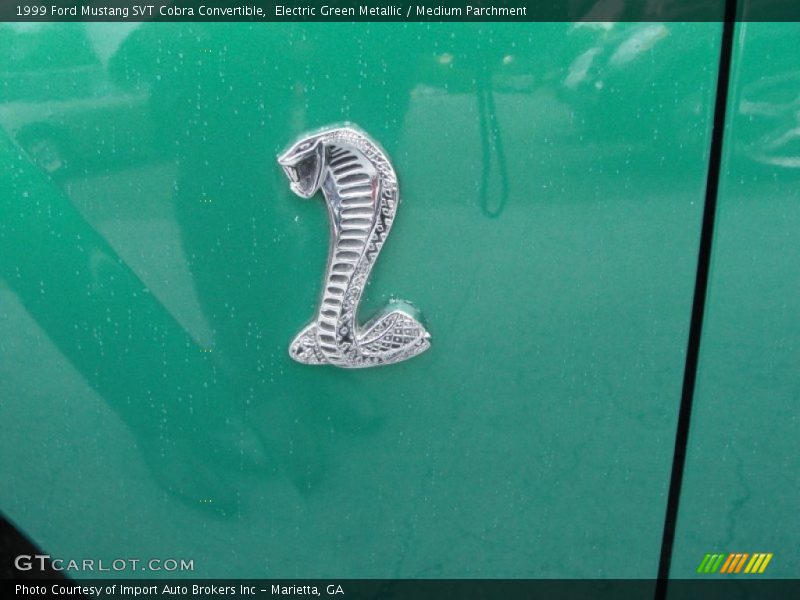  1999 Mustang SVT Cobra Convertible Logo