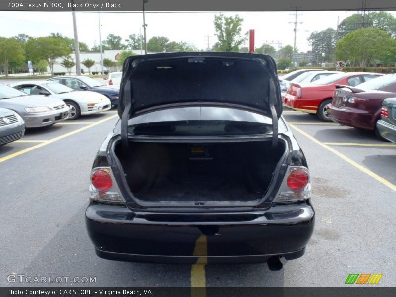 Black Onyx / Black 2004 Lexus IS 300