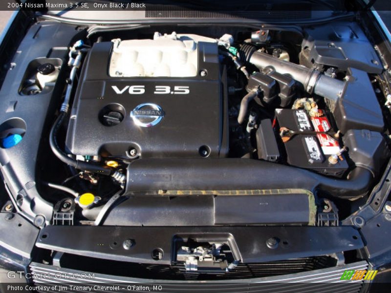 Onyx Black / Black 2004 Nissan Maxima 3.5 SE