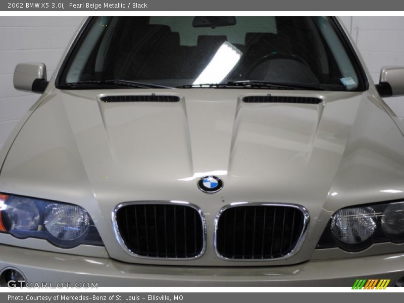 Pearl Beige Metallic / Black 2002 BMW X5 3.0i