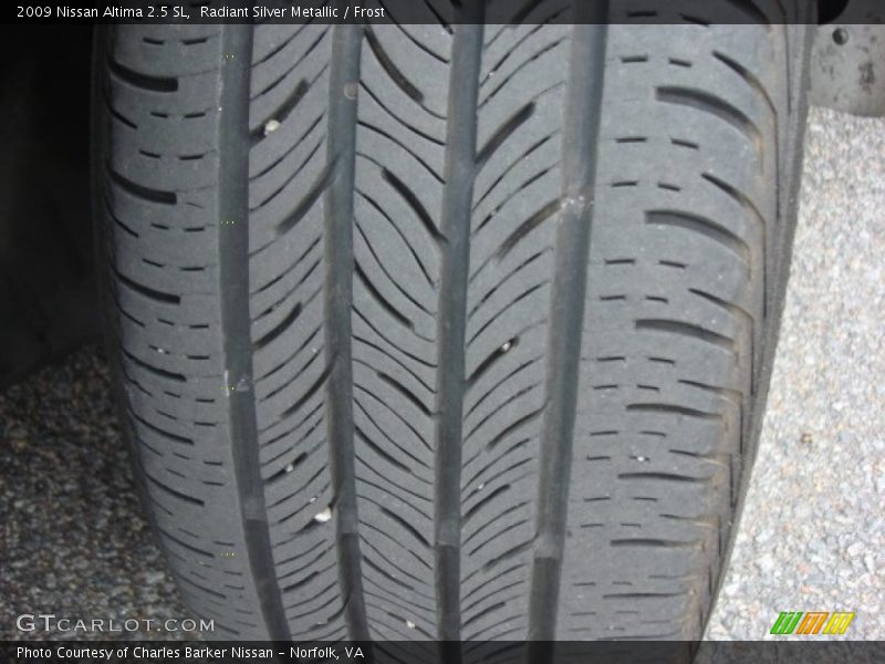 Radiant Silver Metallic / Frost 2009 Nissan Altima 2.5 SL