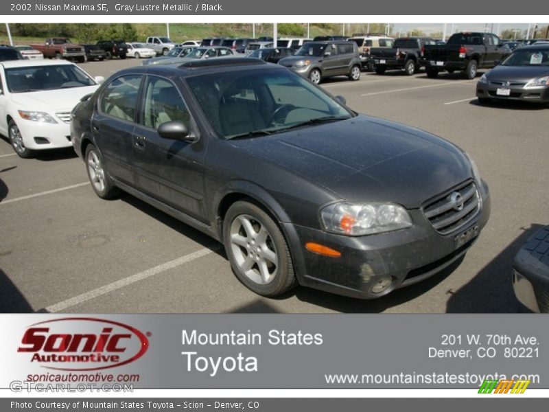 Gray Lustre Metallic / Black 2002 Nissan Maxima SE