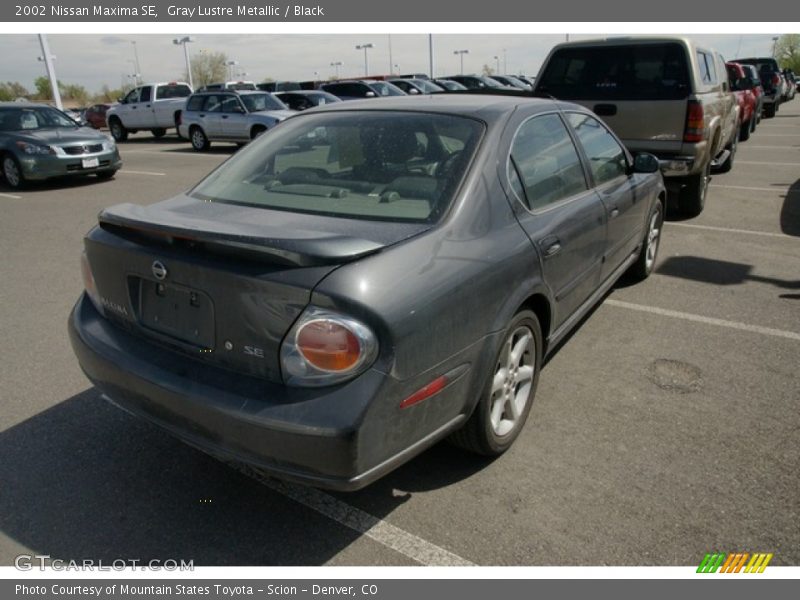 Gray Lustre Metallic / Black 2002 Nissan Maxima SE
