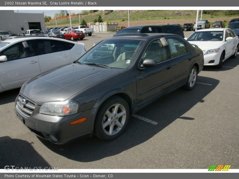 Gray Lustre Metallic / Black 2002 Nissan Maxima SE