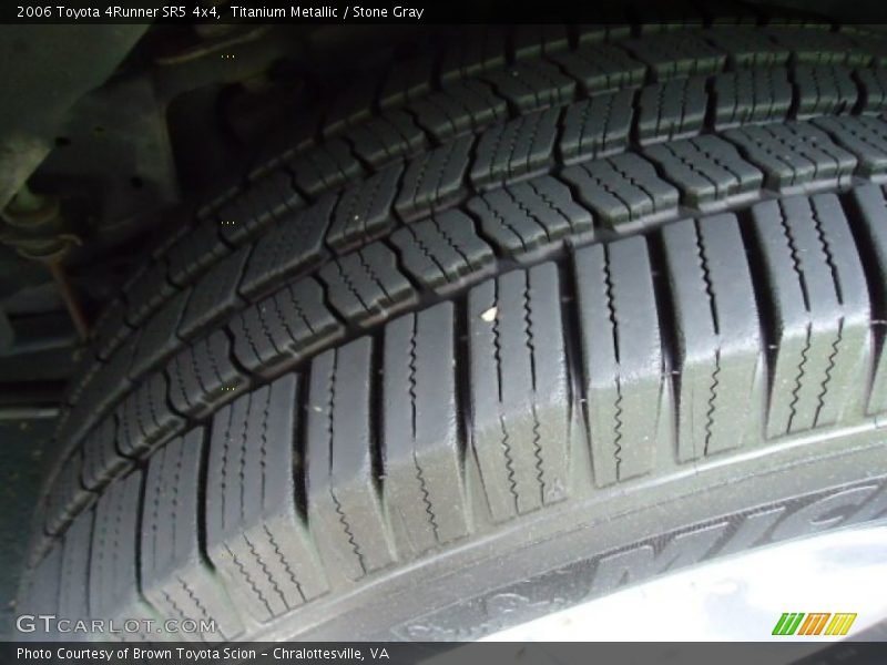 Titanium Metallic / Stone Gray 2006 Toyota 4Runner SR5 4x4