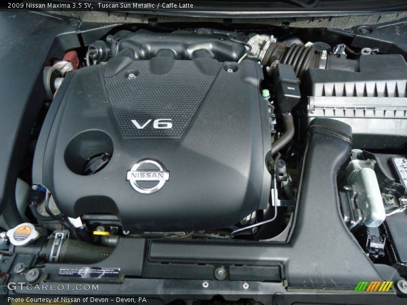 Tuscan Sun Metallic / Caffe Latte 2009 Nissan Maxima 3.5 SV