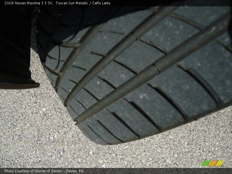 Tuscan Sun Metallic / Caffe Latte 2009 Nissan Maxima 3.5 SV