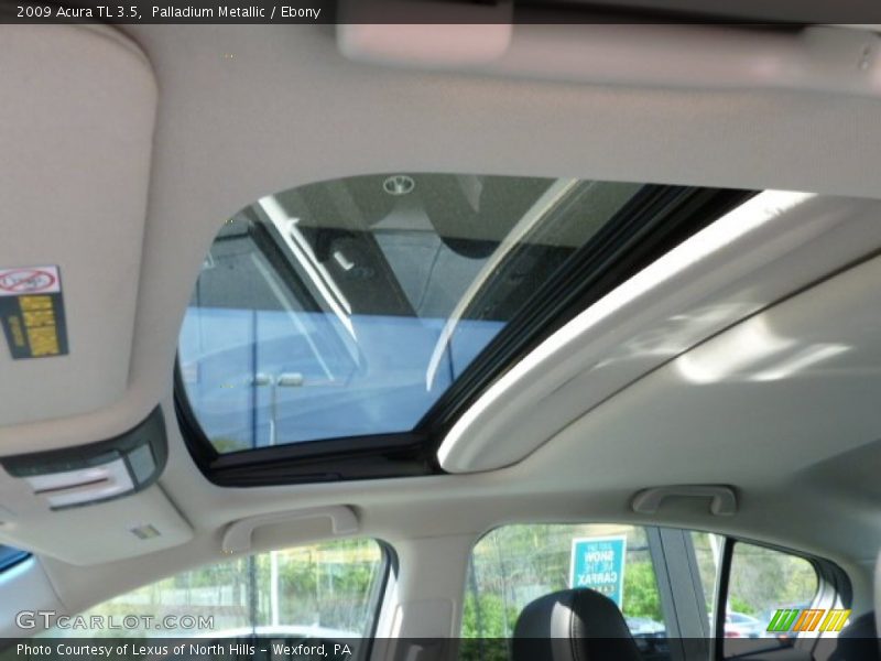 Palladium Metallic / Ebony 2009 Acura TL 3.5