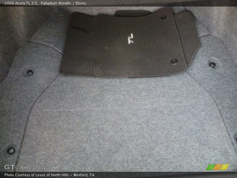 Palladium Metallic / Ebony 2009 Acura TL 3.5