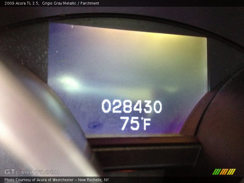 Grigio Gray Metallic / Parchment 2009 Acura TL 3.5