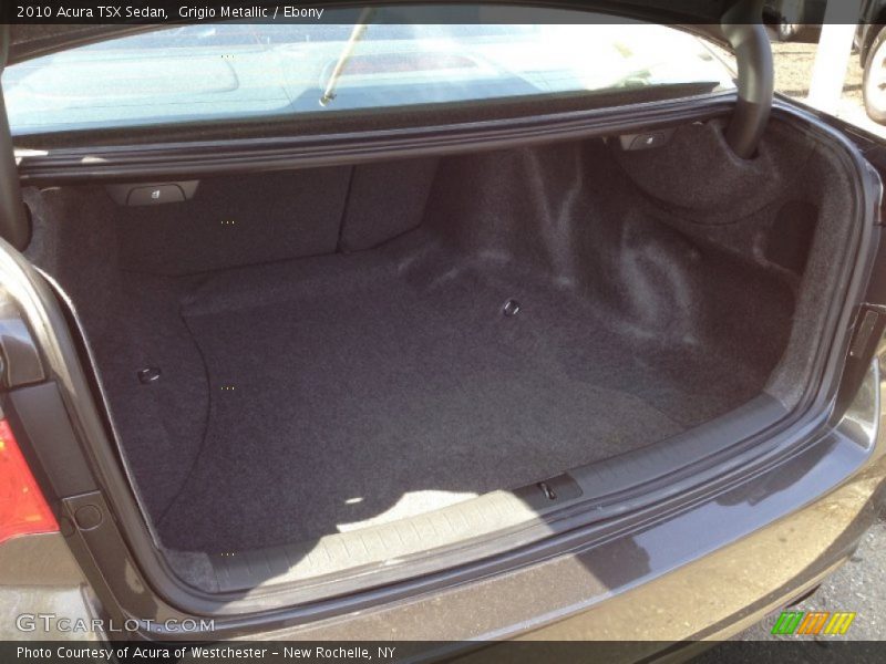 Grigio Metallic / Ebony 2010 Acura TSX Sedan