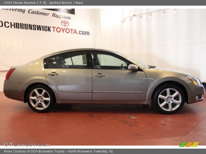 Spirited Bronze / Black 2004 Nissan Maxima 3.5 SE