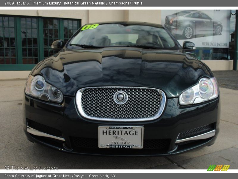 Botanical Green Metallic / Champagne/Truffle 2009 Jaguar XF Premium Luxury