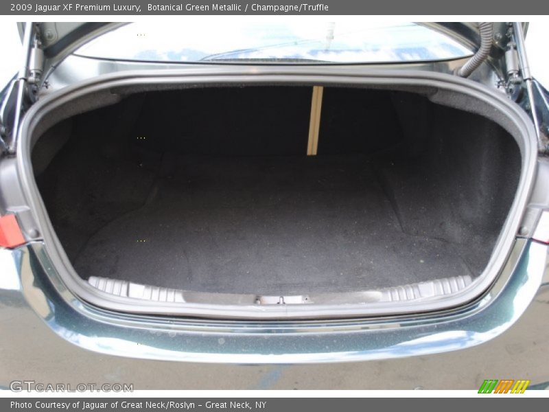 Botanical Green Metallic / Champagne/Truffle 2009 Jaguar XF Premium Luxury