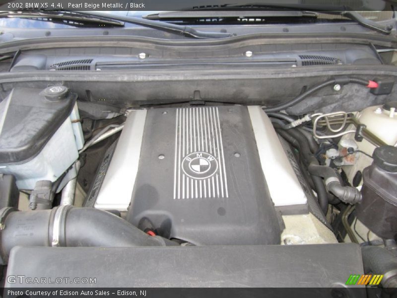 Pearl Beige Metallic / Black 2002 BMW X5 4.4i