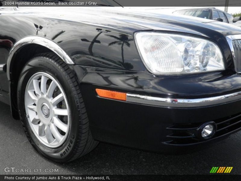 Black Obsidian / Gray 2004 Hyundai XG350 Sedan