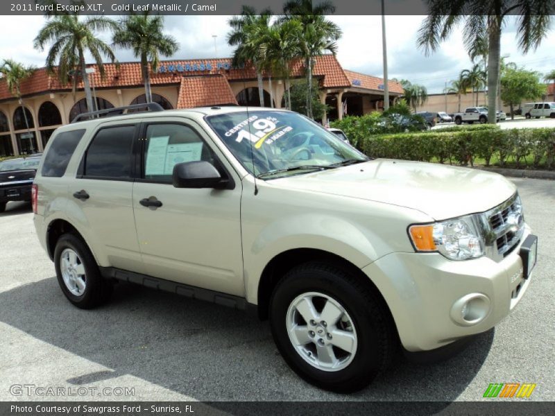 Gold Leaf Metallic / Camel 2011 Ford Escape XLT
