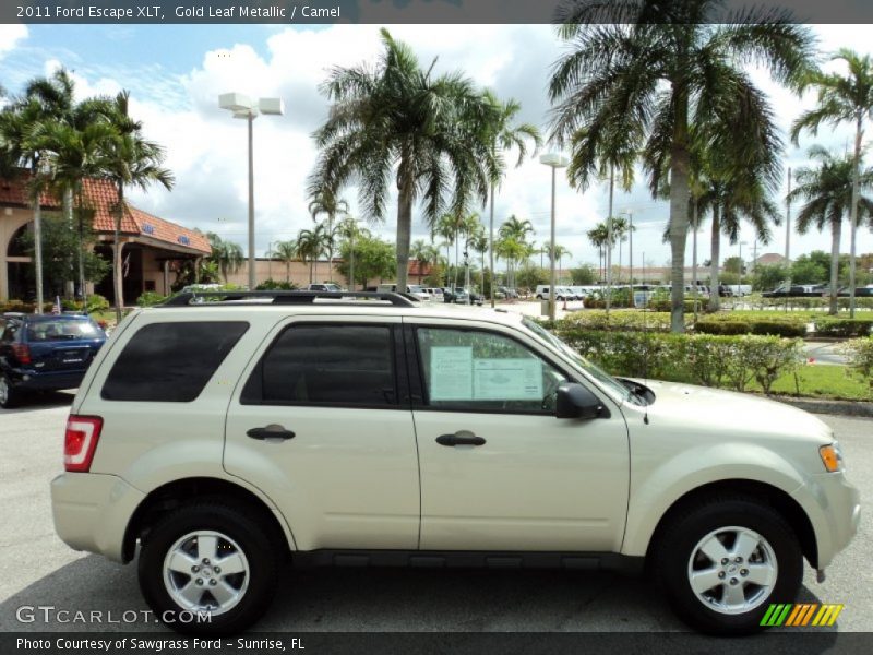Gold Leaf Metallic / Camel 2011 Ford Escape XLT