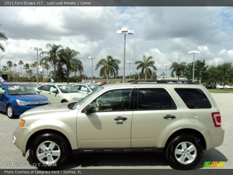 Gold Leaf Metallic / Camel 2011 Ford Escape XLT