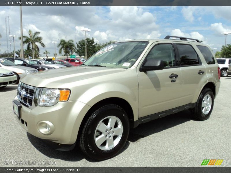 Gold Leaf Metallic / Camel 2011 Ford Escape XLT