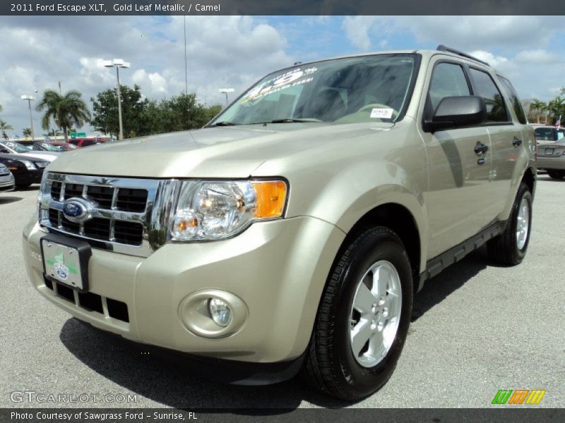 Gold Leaf Metallic / Camel 2011 Ford Escape XLT