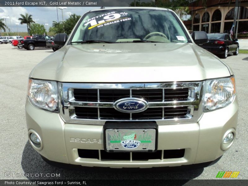 Gold Leaf Metallic / Camel 2011 Ford Escape XLT