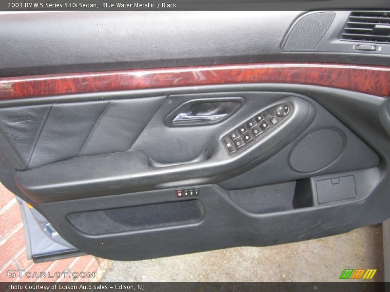 Door Panel of 2003 5 Series 530i Sedan