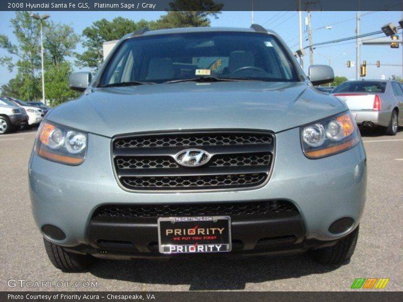 Platinum Sage / Gray 2008 Hyundai Santa Fe GLS