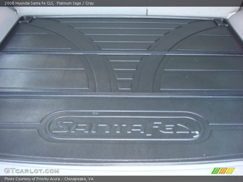 Platinum Sage / Gray 2008 Hyundai Santa Fe GLS