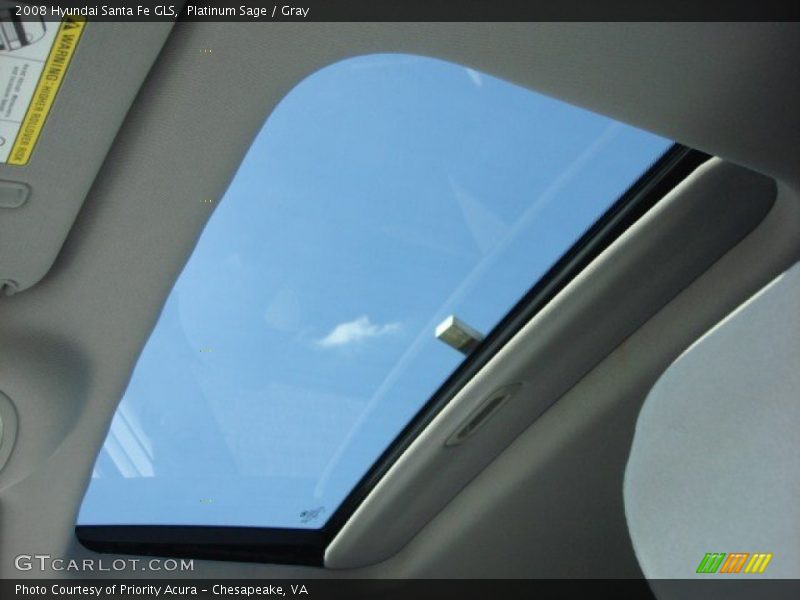 Platinum Sage / Gray 2008 Hyundai Santa Fe GLS