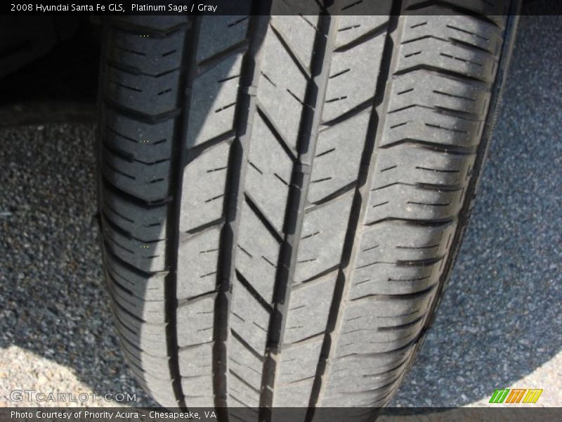 Platinum Sage / Gray 2008 Hyundai Santa Fe GLS