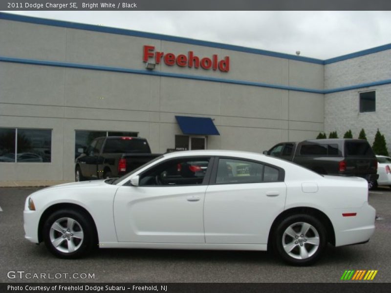 Bright White / Black 2011 Dodge Charger SE