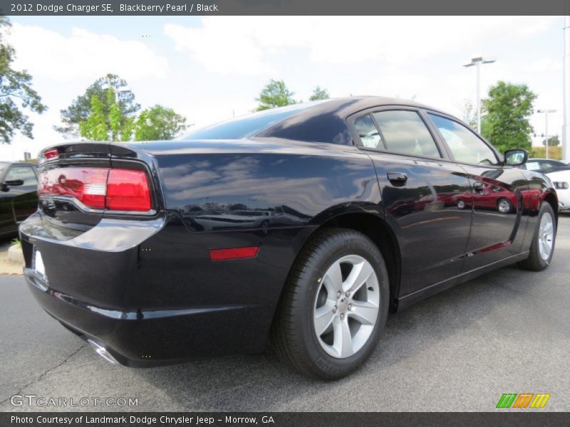 Blackberry Pearl / Black 2012 Dodge Charger SE