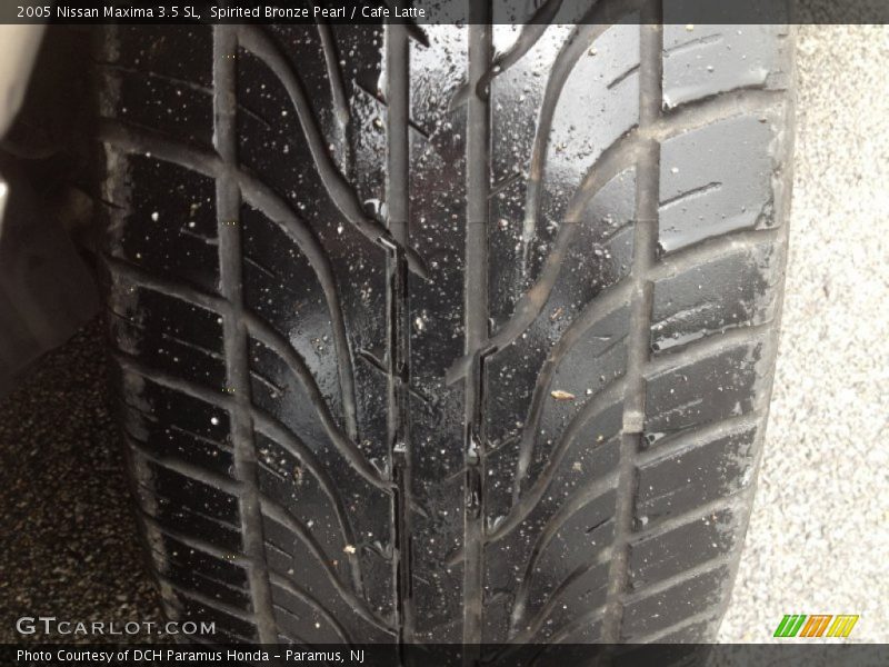Spirited Bronze Pearl / Cafe Latte 2005 Nissan Maxima 3.5 SL