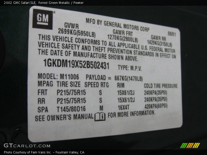 Forest Green Metallic / Pewter 2002 GMC Safari SLE