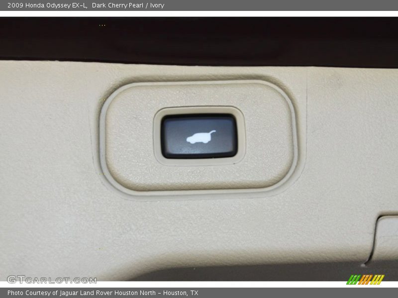 Dark Cherry Pearl / Ivory 2009 Honda Odyssey EX-L